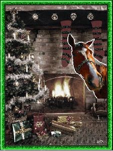 Koń w domu na wigilię